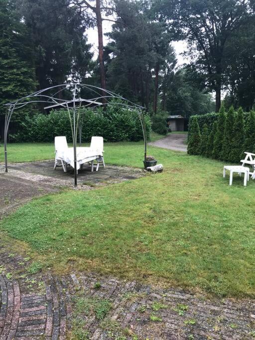 Sfeervol Chalet In Drenthe Bij Het Dwingelderveld Villa Spier Exteriör bild