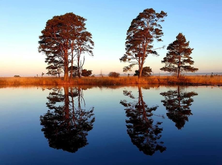 Sfeervol Chalet In Drenthe Bij Het Dwingelderveld Villa Spier Exteriör bild