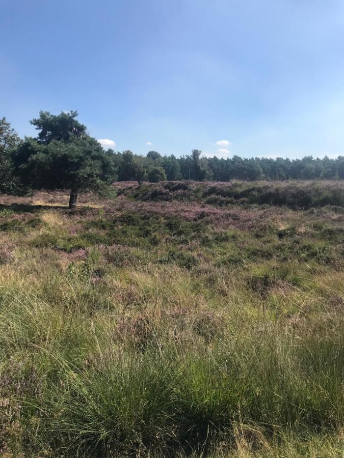 Sfeervol Chalet In Drenthe Bij Het Dwingelderveld Villa Spier Exteriör bild