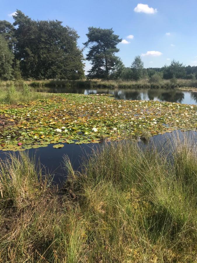 Sfeervol Chalet In Drenthe Bij Het Dwingelderveld Villa Spier Exteriör bild