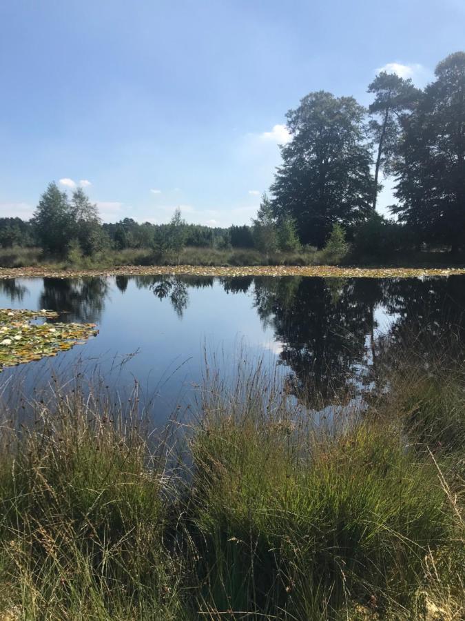 Sfeervol Chalet In Drenthe Bij Het Dwingelderveld Villa Spier Exteriör bild