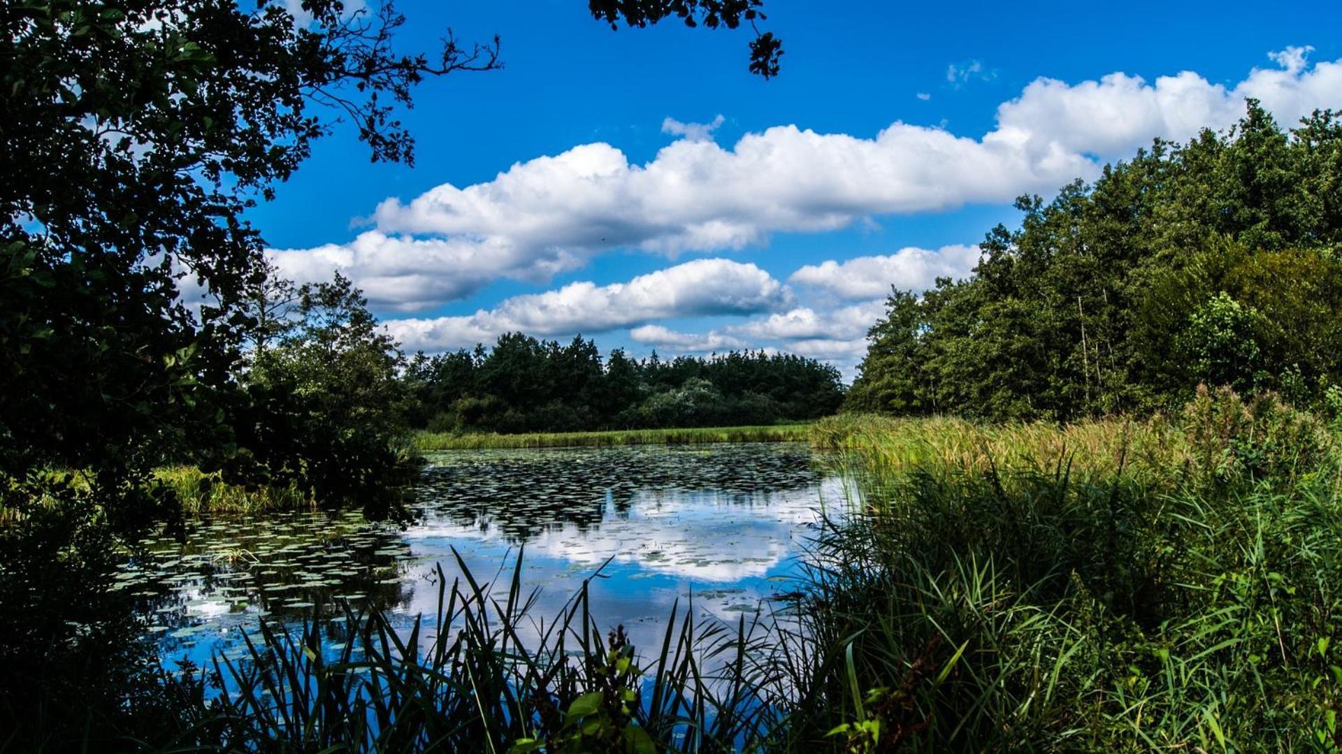 Sfeervol Chalet In Drenthe Bij Het Dwingelderveld Villa Spier Exteriör bild